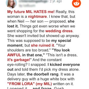 After My MIL Sent Me a Wedding Dress ‘Her Son Would Prefer,’ I Decided It Was Time to Stand… After My MIL Sent Me a Wedding Dress ‘Her Son Would Prefer,’ I Decided It Was Time to Stand…